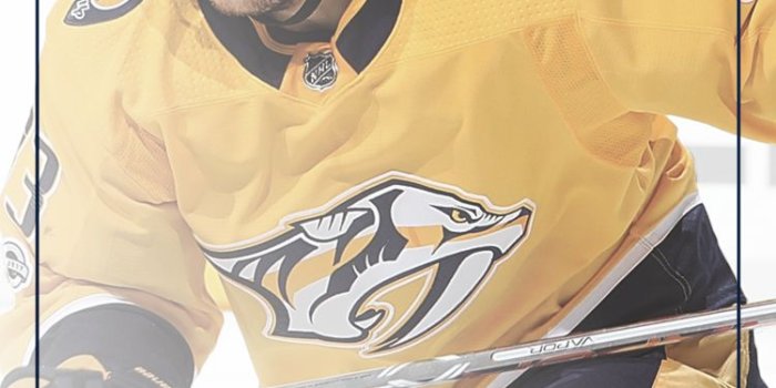750x1334 Downloadable Preds Wallpapers | Nashville Predators