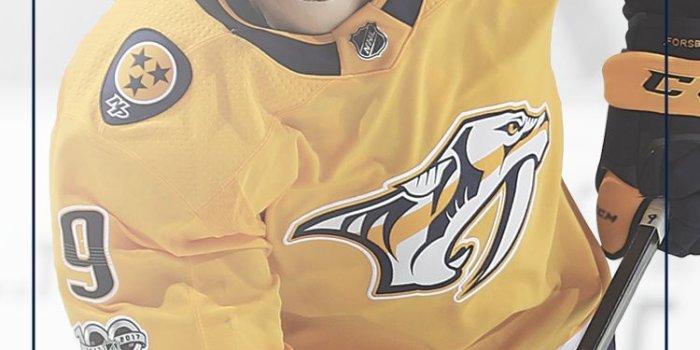 750x1334 Downloadable Preds Wallpapers | Nashville Predators