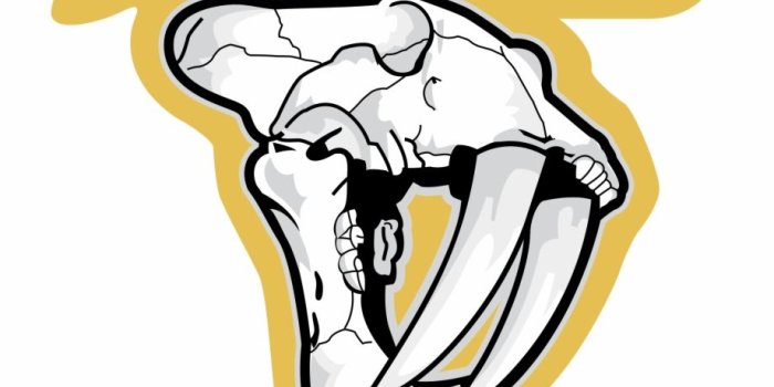 920x897 Nashville Predators Logo Png Transparent - Nashville Predators