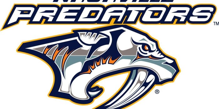 1190x679 Nashville Predators Background, HD Nashville Predators, #12626