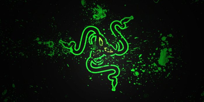 1246x700 RAZER GAMING computer game wallpaper | 1920x1079 | 400698