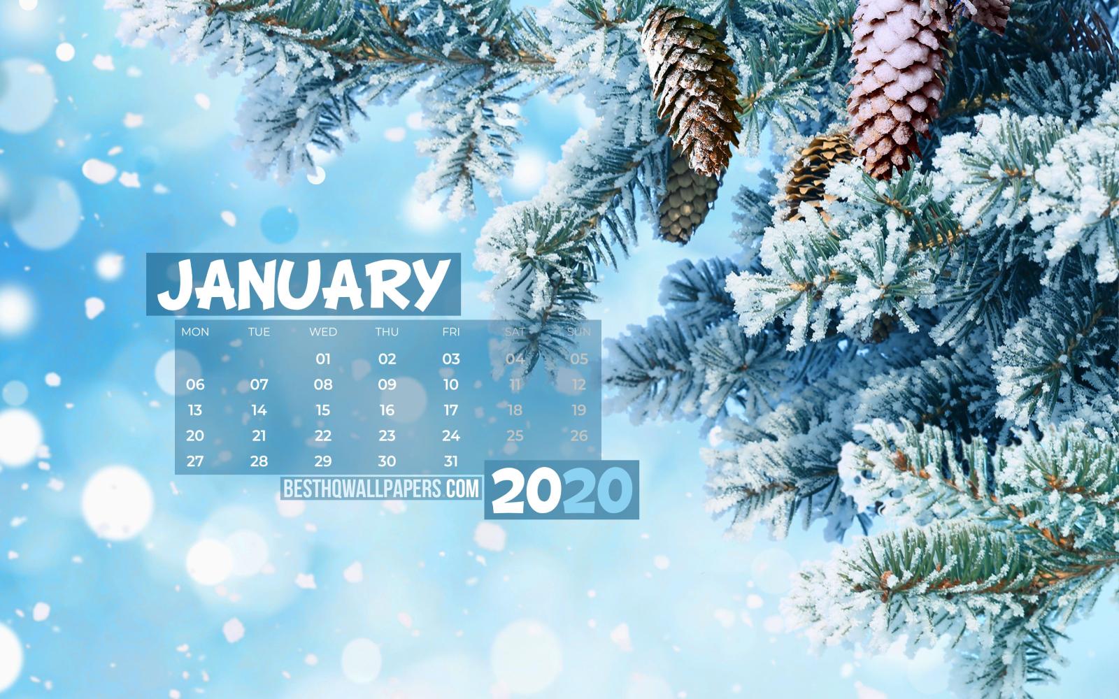 3840x2400 Download wallpapers 4k, January 2020 Calendar, snowy fir-tree