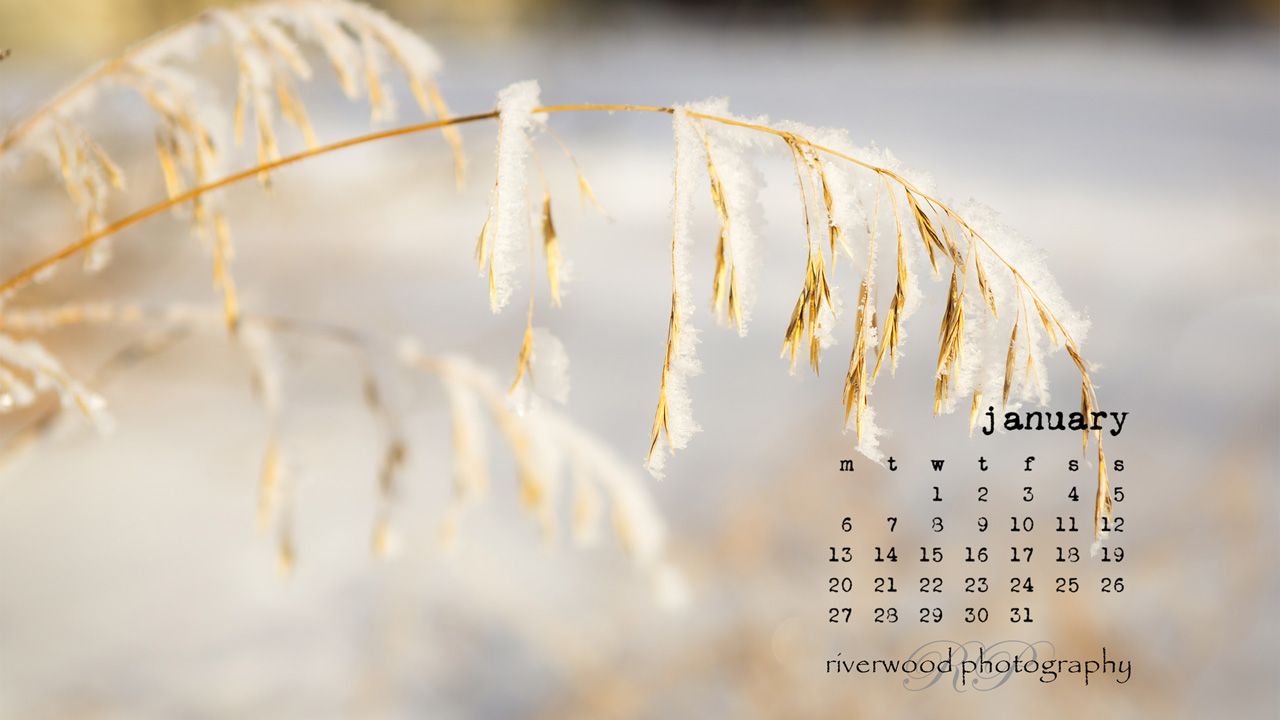 1280x720 Free Desktop Wallpaper for January 2014 | 403-615-3708 | Riverwood