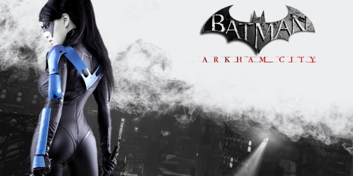1440x900 nightwing__arkham_city_by_a_b_original-d6k2l92.jpg (1440×900