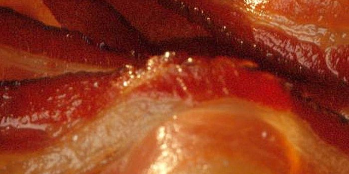 1080x1920 Bacon Wallpapers