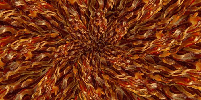 1600x1143 Bacon Wallpapers