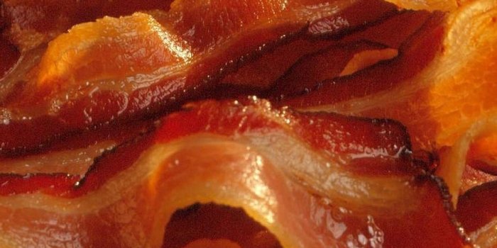 2048x2048 Best Photos of Bacon High Definition | B.SCB