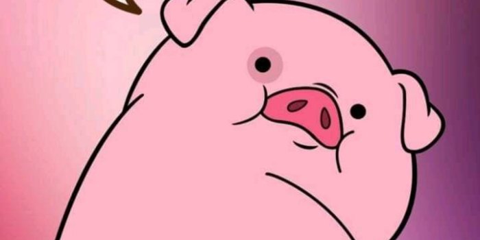 720x1280 Bacon wallpaper by Crystalmbrown4 - 6c - Free on ZEDGE™