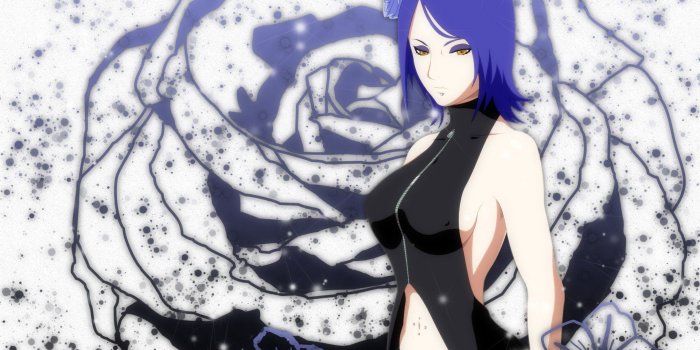 1920x1200 Naruto Shippuuden, Anime, Konan, Flowers, Blue hair HD Wallpapers