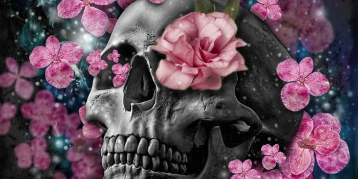 2550x3300 Skulls and Flowers Wallpapers - Top Free Skulls and Flowers