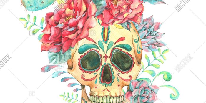 1500x1620 Vintage Watercolor Image & Photo (Free Trial) | Bigstock