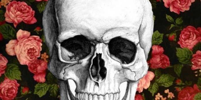 1368x855 Skull Flowers Wallpaper Pinterest Art Illustrations - Floral Skull