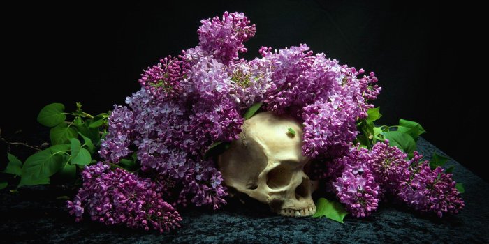 2600x1735 Skull Wallpaper Computer