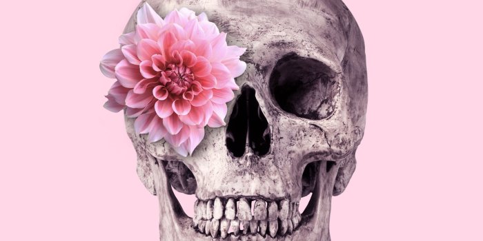 1800x1800 Buy FLOWER SKULL wall mural - Free US shipping at Happywall.com