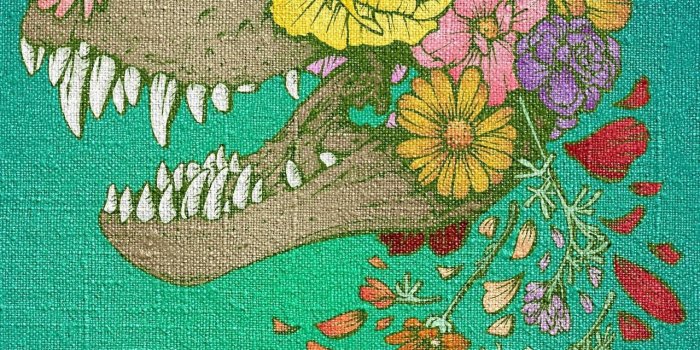 1280x1280 Dinosaur wallpaper by valerie99860 - 92 - Free on ZEDGE™