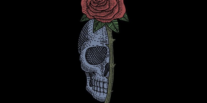 1400x980 skull rose vintage design - Download Free Vectors, Clipart