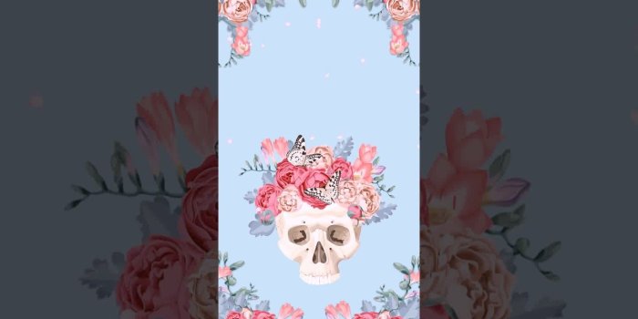 1280x720 Samsung Theme-Live Wallpaper]Vintage skull