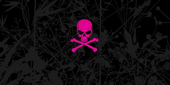 1024x768 Pink Emo Skull.jpg (1024×768) | Emo wallpaper, Skull wallpaper