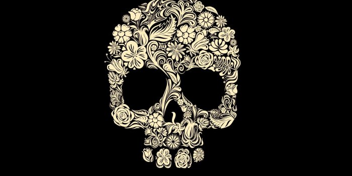 2560x1600 Download Skull Wallpaper For Girls, HD Backgrounds Download - itl.cat