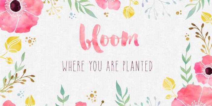 1280x720 Words For The Wise to Inspire a Positive Spirit. | Cute desktop