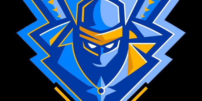 2160x3840 Ninja Logo Fortnite Battle Royale 4K 3840x2160 Wallpaper #65