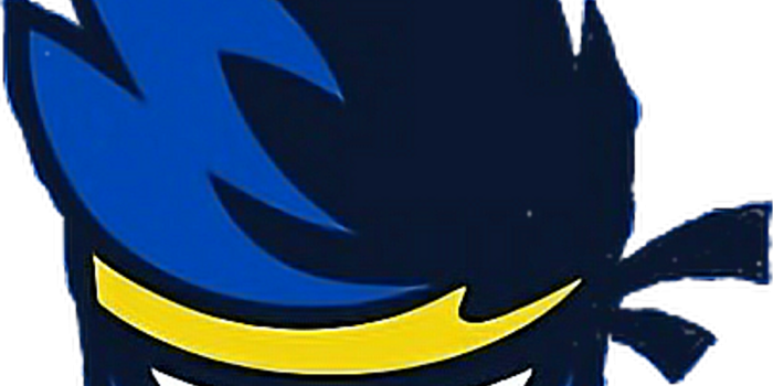 1024x1217 Ninja Fortnite Logo Png