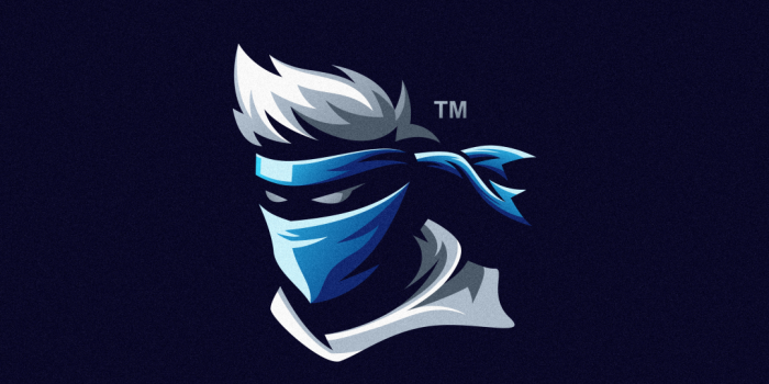 1080x810 Ninja Gaming Logo Png
