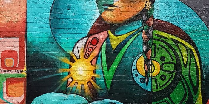 910x1618 HD wallpaper: native, hope, bird, art and craft, creativity