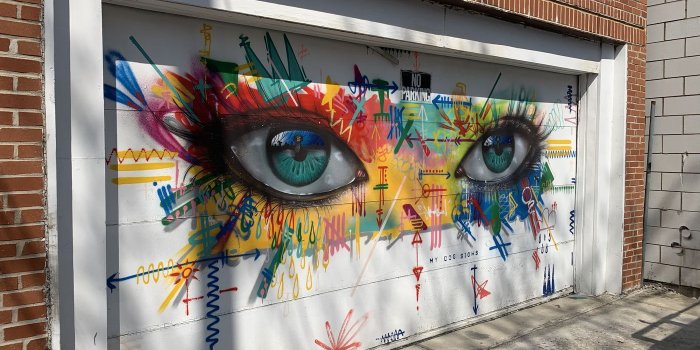 1400x1050 Chicago murals: West Town alley transformed into a gallery of