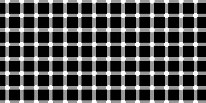 1920x1080 Bright Colored Flowers Wallpaper search results - Page 915