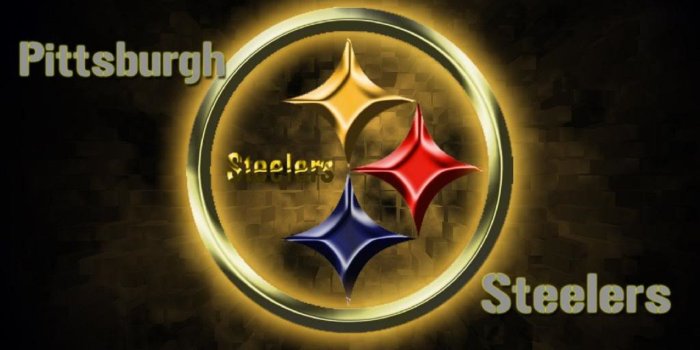 1600x1000 48+] Pittsburgh Steelers Girls Wallpaper on WallpaperSafari