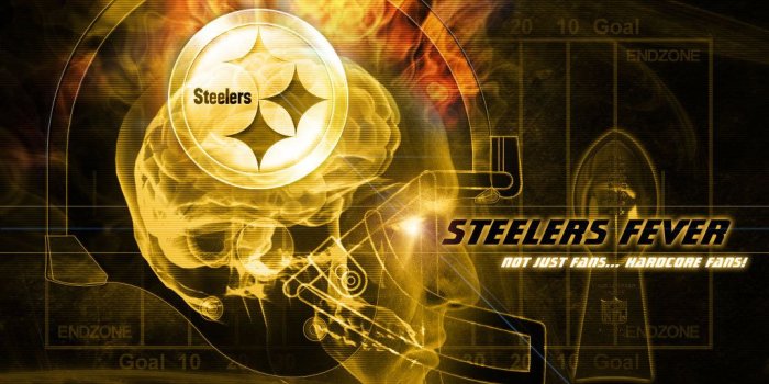 1024x768 Steelers Quotes. QuotesGram