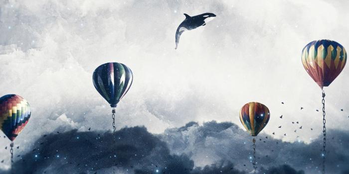 2248x2248 Download Surreal, hot air balloons, clouds, sky, dolphin wallpaper