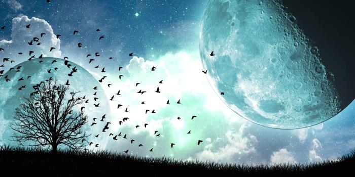 1920x1080 Download Wallpapers, Download 1920x1080 blue landscapes trees moon