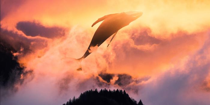 3840x2160 Surreal Dream Wallpapers posted by Christopher Simpson