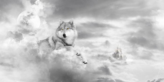 1920x1080 Psychedelic, Fur, HD, Moon, Desktop Images, Cg, Wolves, Dream