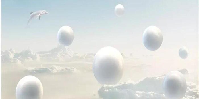 1000x800 wellyu Custom wallpaper 3d photo murals dolphin blue sky white