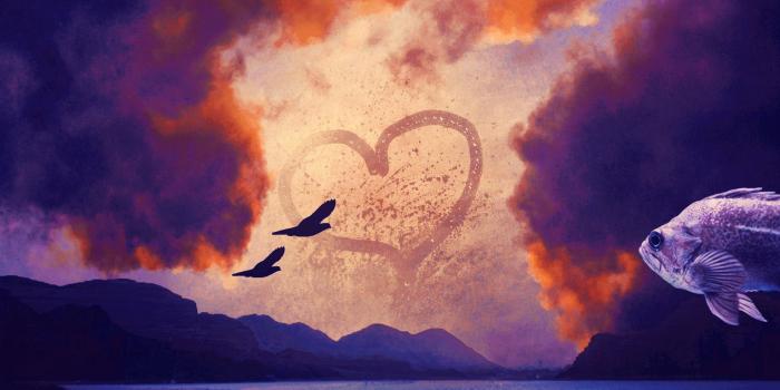 2560x1600 Download 2560x1600 wallpaper surreal, heart in the sky, sunset