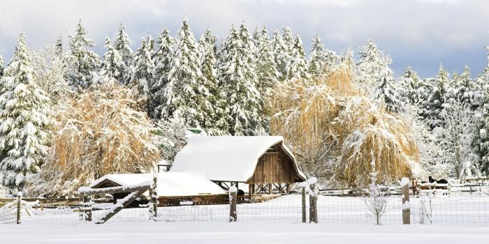 1920x1080 1 british columbia barn victoria british columbia 1920x1080 wa