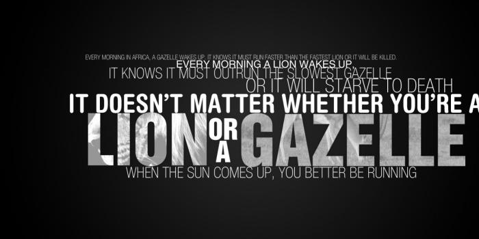 2560x1627 Bodybuilding Motivational Quotes Wallpaper Hd With - Morning Run