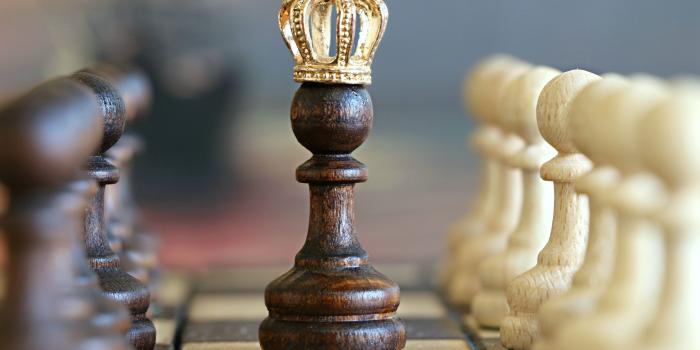 3089x2114 Chess Piece · Free Stock Photo
