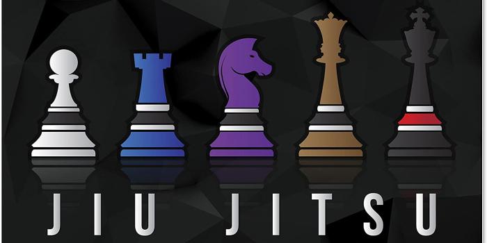 1500x990 Amazon.com: Chess Jiu Jitsu Poster for BJJ, 11 x 17 Inches, Art