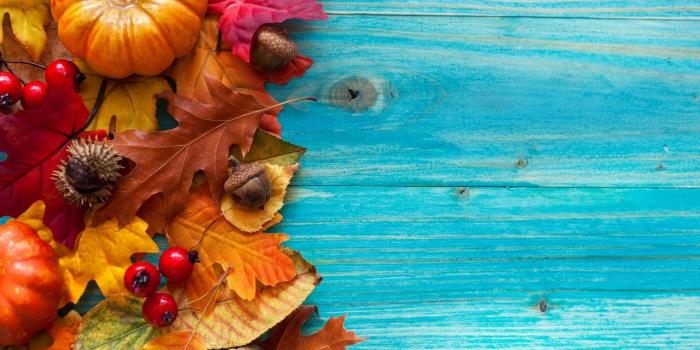 1920x1280 56+ Autumn Pumpkin Wallpapers on WallpaperPlay