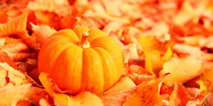 1920x1080 Free download Pumpkin And Autumn Leaves 4K HD Desktop Wallpaper