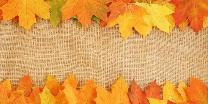 3000x1994 Fall Leaves Wallpaper (73+ images)