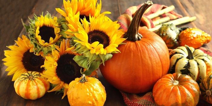 1920x1200 Pretty Fall Flowers Pumpkin Wallpapers - Top Free Pretty Fall