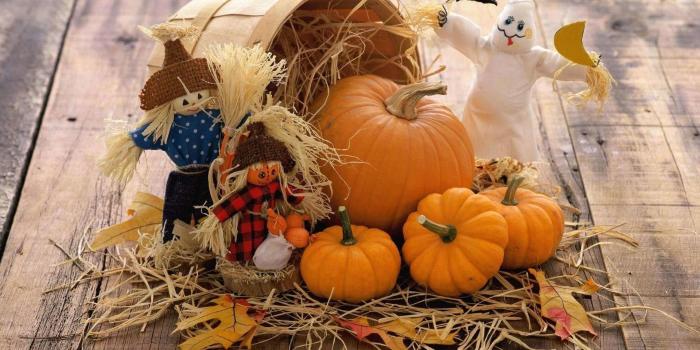 1920x1200 56+ Autumn Pumpkin Wallpapers on WallpaperPlay