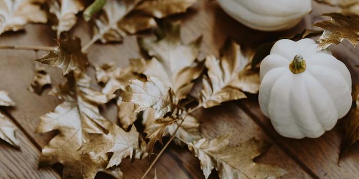 910x1365 HD wallpaper: White pumpkins with golden oak leaves, white pumkin