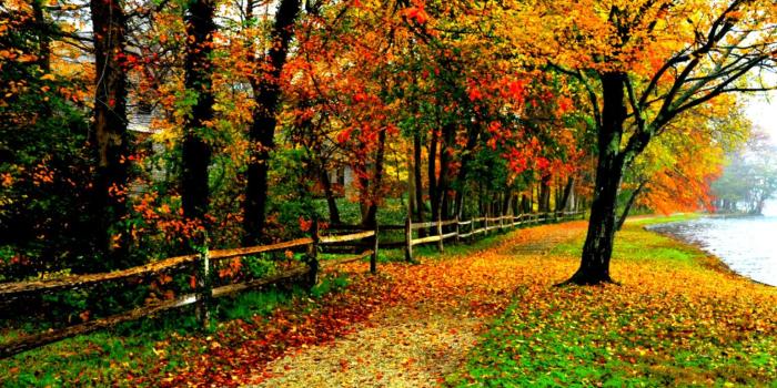 1545x945 Fall Colors Wallpaper Desktop | Amazing Wallpapers