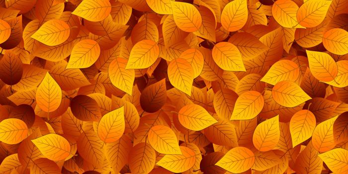 2880x1800 Free download Autumn leaves wallpaper 1009277 [2880x1800] for your